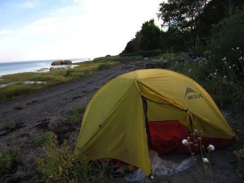 47110_10150250222655372_8332855_n